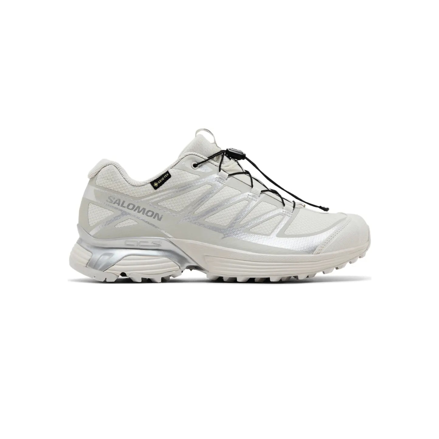 Salomon XT-Pathway GTX 'Lunar Rock Silver'